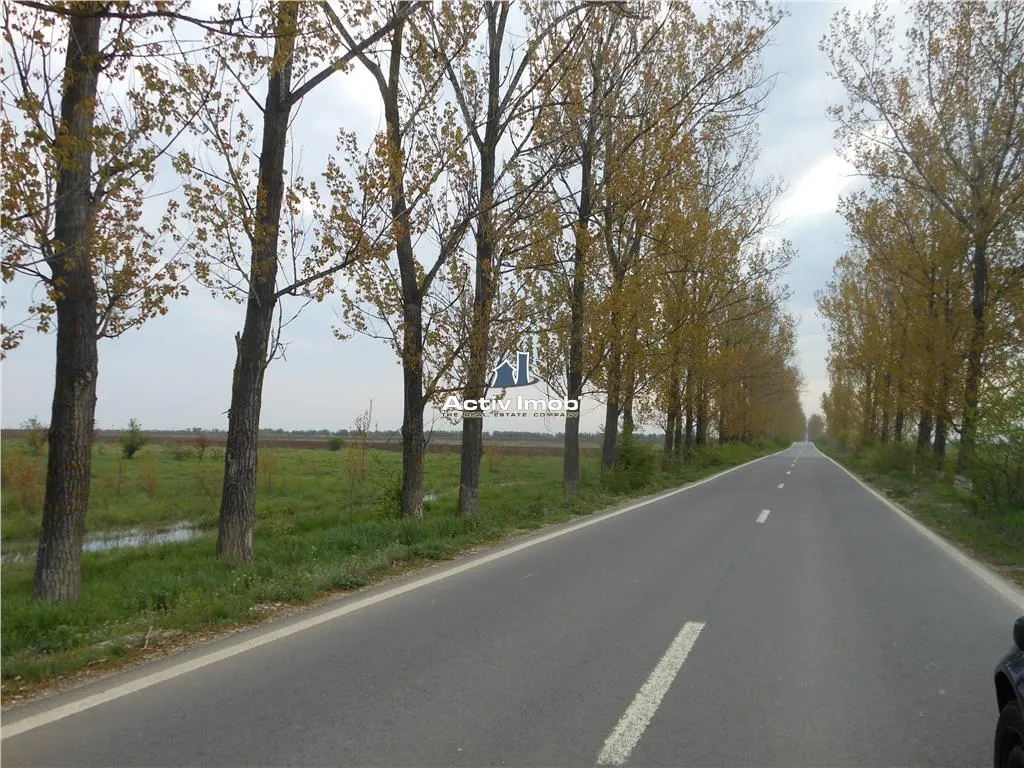 teren intravilan,  5000mp, Ciolpani - accept schimb - foto 5