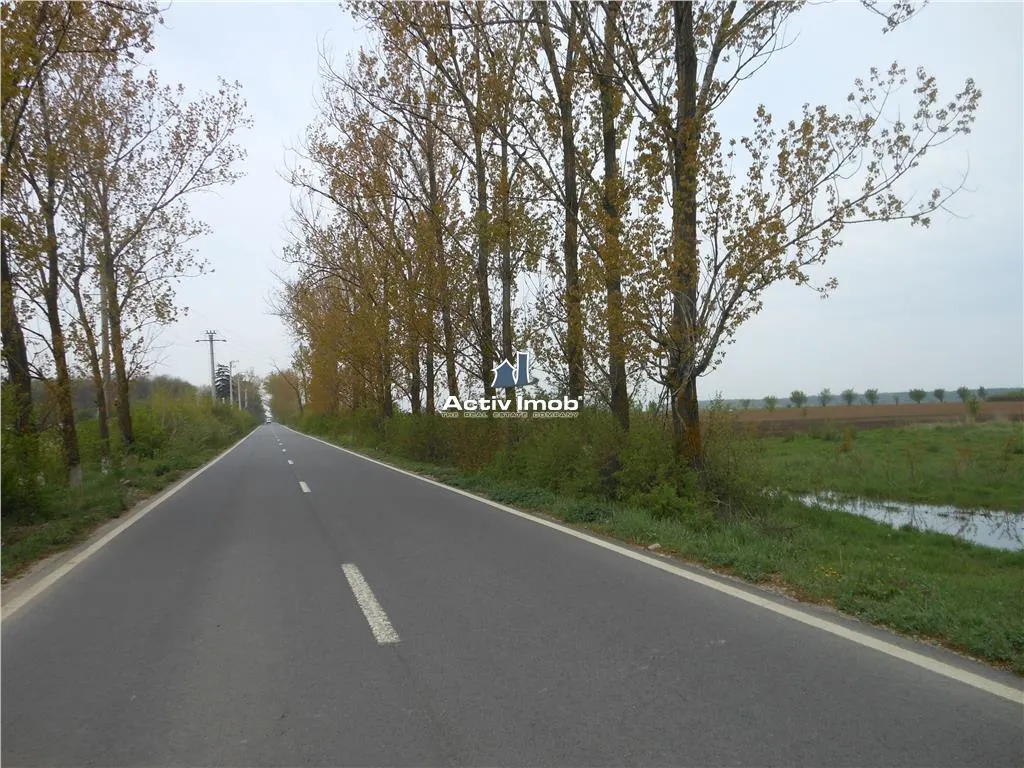 teren intravilan,  5000mp, Ciolpani - accept schimb - foto 6