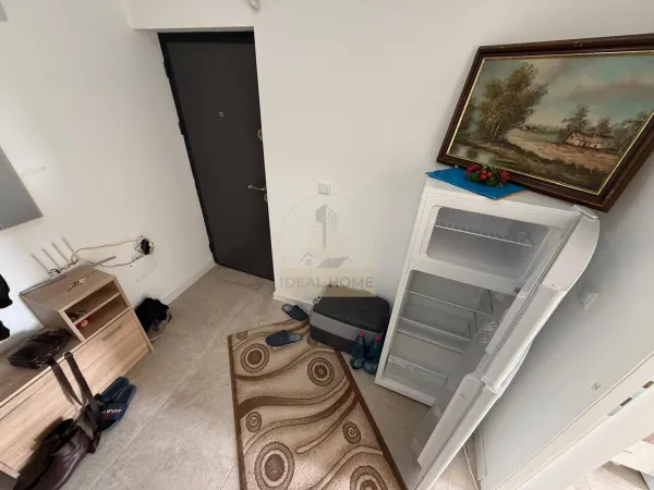 Apartament 1 camera Lunca Cetățuii - poza 3