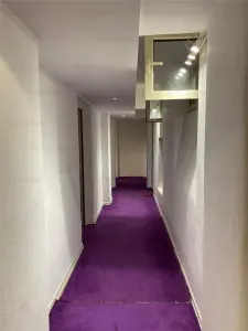 Apartament tip duplex Hochparterre+Demisol | Dorobanti - Capitale | - foto 11