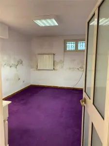 Apartament tip duplex Hochparterre+Demisol | Dorobanti - Capitale | - foto 15