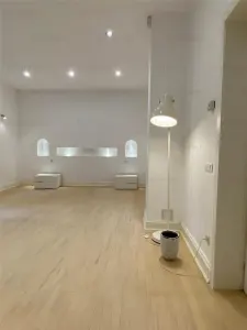 Apartament tip duplex Hochparterre+Demisol | Dorobanti - Capitale | - foto 3