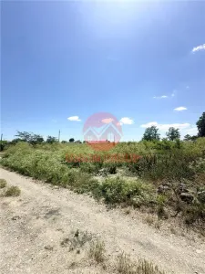 Teren Intravilan 1700 mp - Localitatea Amzacea - foto 5