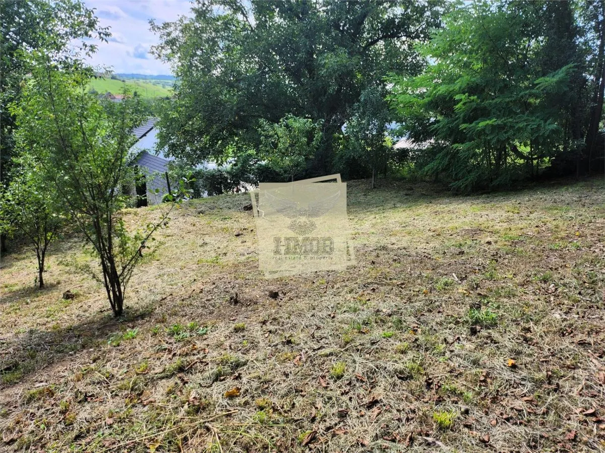 Casa individuala 104mpu | pivnita | teren 803mp | Agnita - foto 13