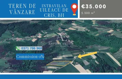 Antony Estate I Teren de vanzare, Uileacu de Cris, Bihor - Uileacu de Cris