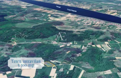 Antony Estate I Teren de vanzare, Uileacu de Cris, Bihor - foto 2
