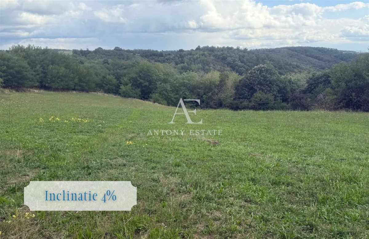 Antony Estate I Teren de vanzare, Uileacu de Cris, Bihor - foto 4