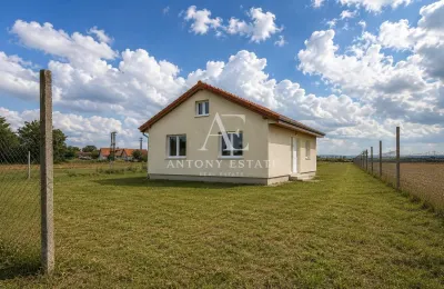 Antony Estate I Vanzare, Country House, Tileagd, Bihor - foto 3