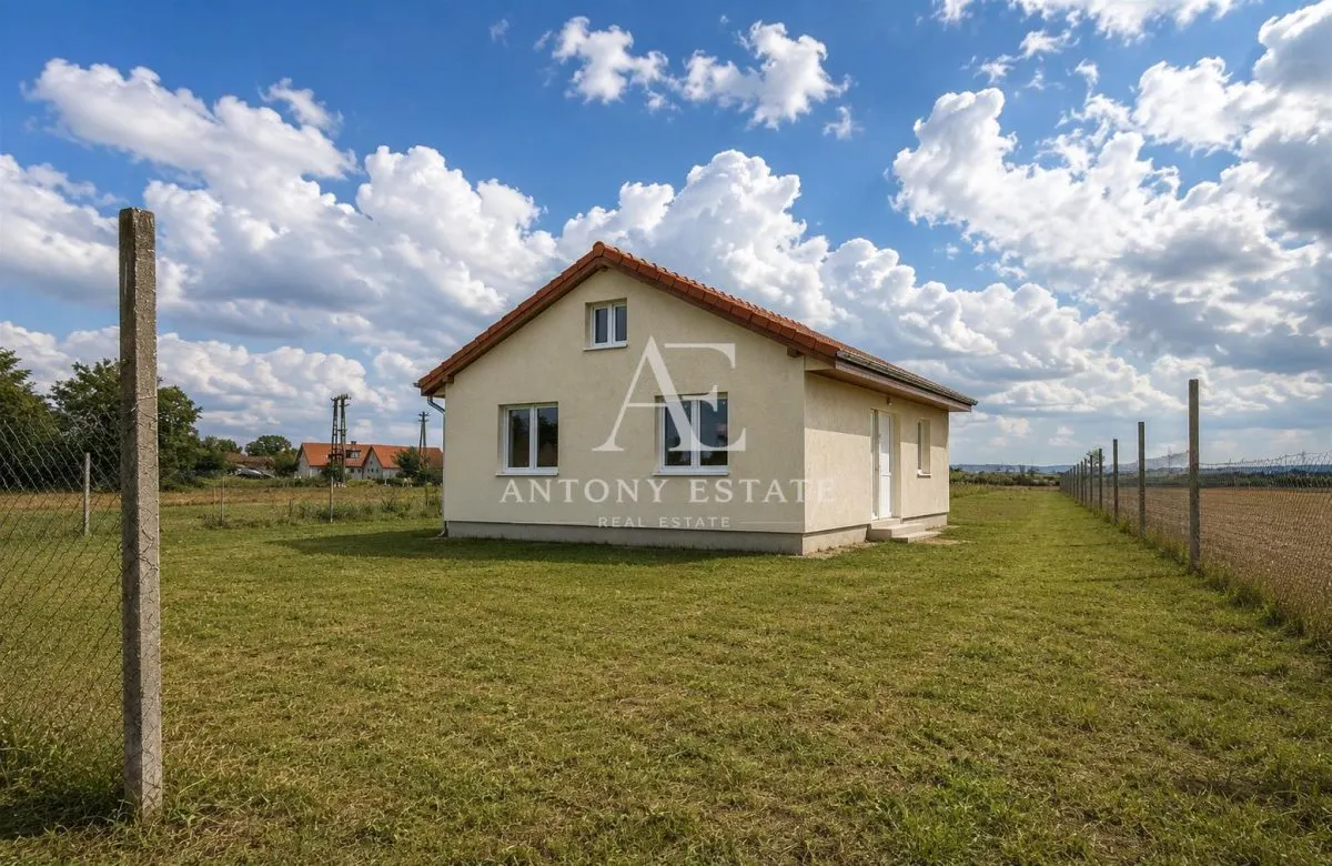 Antony Estate I Vanzare, Country House, Tileagd, Bihor - foto 3