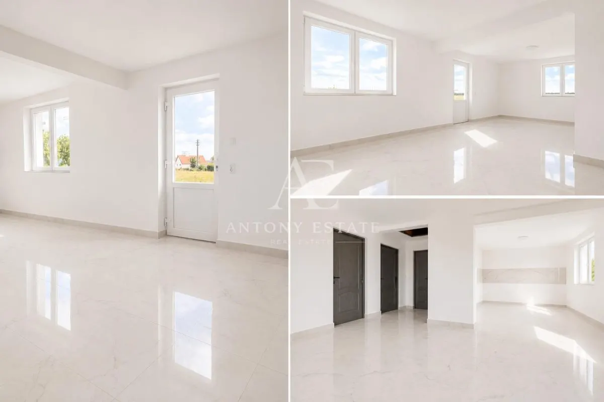 Antony Estate I Vanzare, Country House, Tileagd, Bihor - foto 4