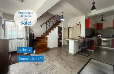 Proprietate cu crama, Ultracentral, casa de vanzare, Oradea, Bihor - Oradea