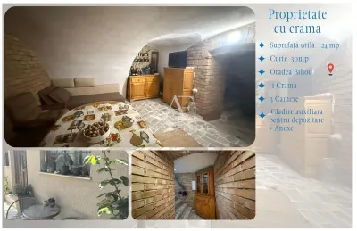 Proprietate cu crama, Ultracentral, casa de vanzare, Oradea, Bihor - foto 12