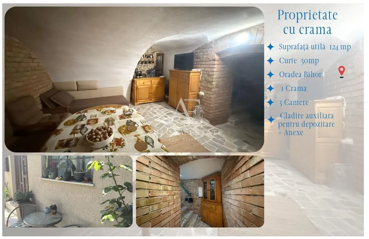 Proprietate cu crama, Ultracentral, casa de vanzare, Oradea, Bihor - foto 12