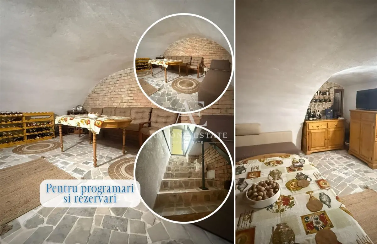 Proprietate cu crama, Ultracentral, casa de vanzare, Oradea, Bihor - foto 19