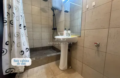Apartament de inchiriat, 2 Camere, Open Space, Ultracentral, Oradea - foto 5