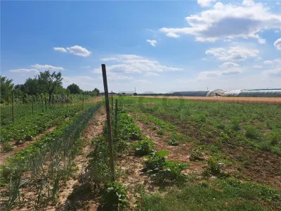 RECO Casa in Sanlazar - foto 7