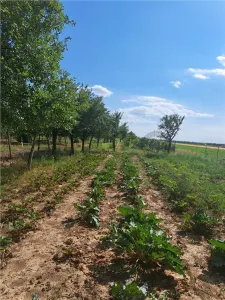 RECO Casa in Sanlazar - foto 9