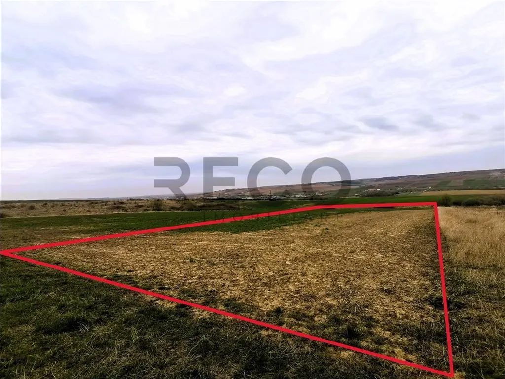 RECO Teren mare extravilan in Uileacu de Munte - foto 1