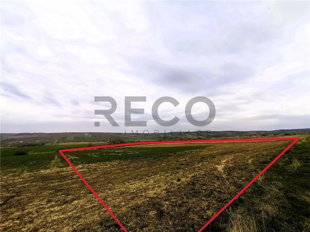 RECO Teren mare extravilan in Uileacu de Munte - foto 2