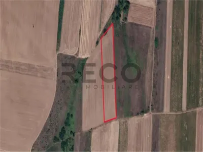 RECO Teren mare extravilan in Uileacu de Munte - foto 3