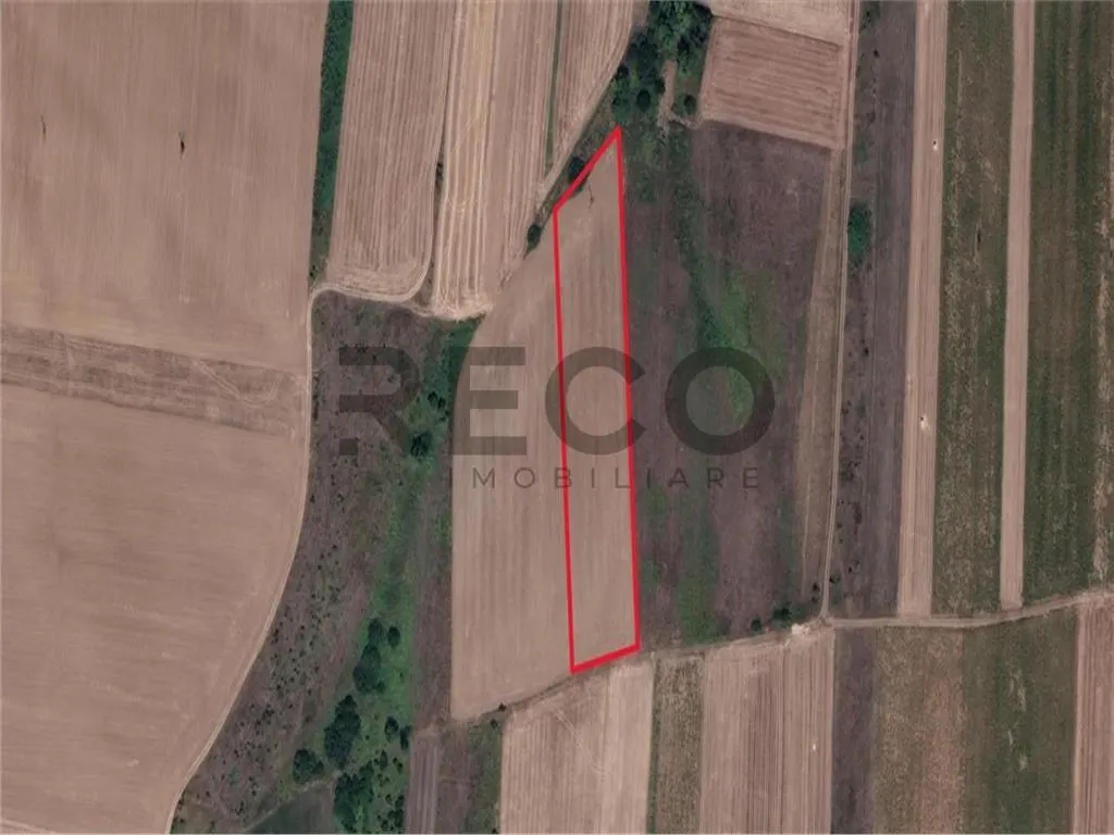 RECO Teren mare extravilan in Uileacu de Munte - foto 3