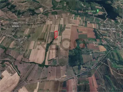 RECO Teren mare extravilan in Uileacu de Munte - foto 4