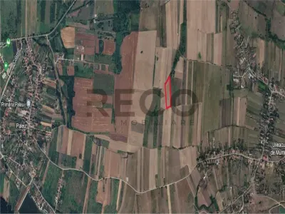 RECO Teren mare extravilan in Uileacu de Munte - foto 5