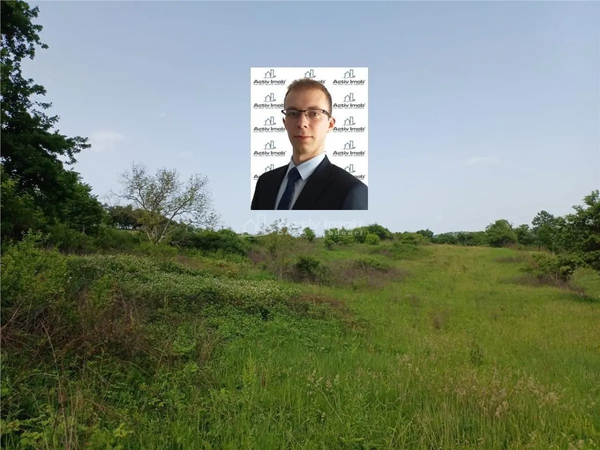 Resita, Teren Drept Intravilan, 11510 Mp., 4 Euro/Mp., Valea Terovei - foto 1