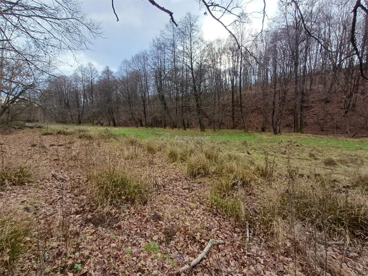 Resita, Teren Drept Intravilan, Langa Prau si Drum, Parcelabil, 4500 Mp., 15 Euro/Mp., Renk - foto 13