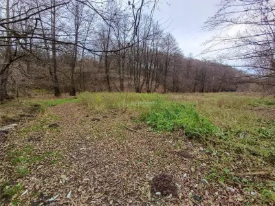Resita, Teren Drept Intravilan, Langa Prau si Drum, 1308 Mp., 15 Euro/Mp., Renk - foto 12