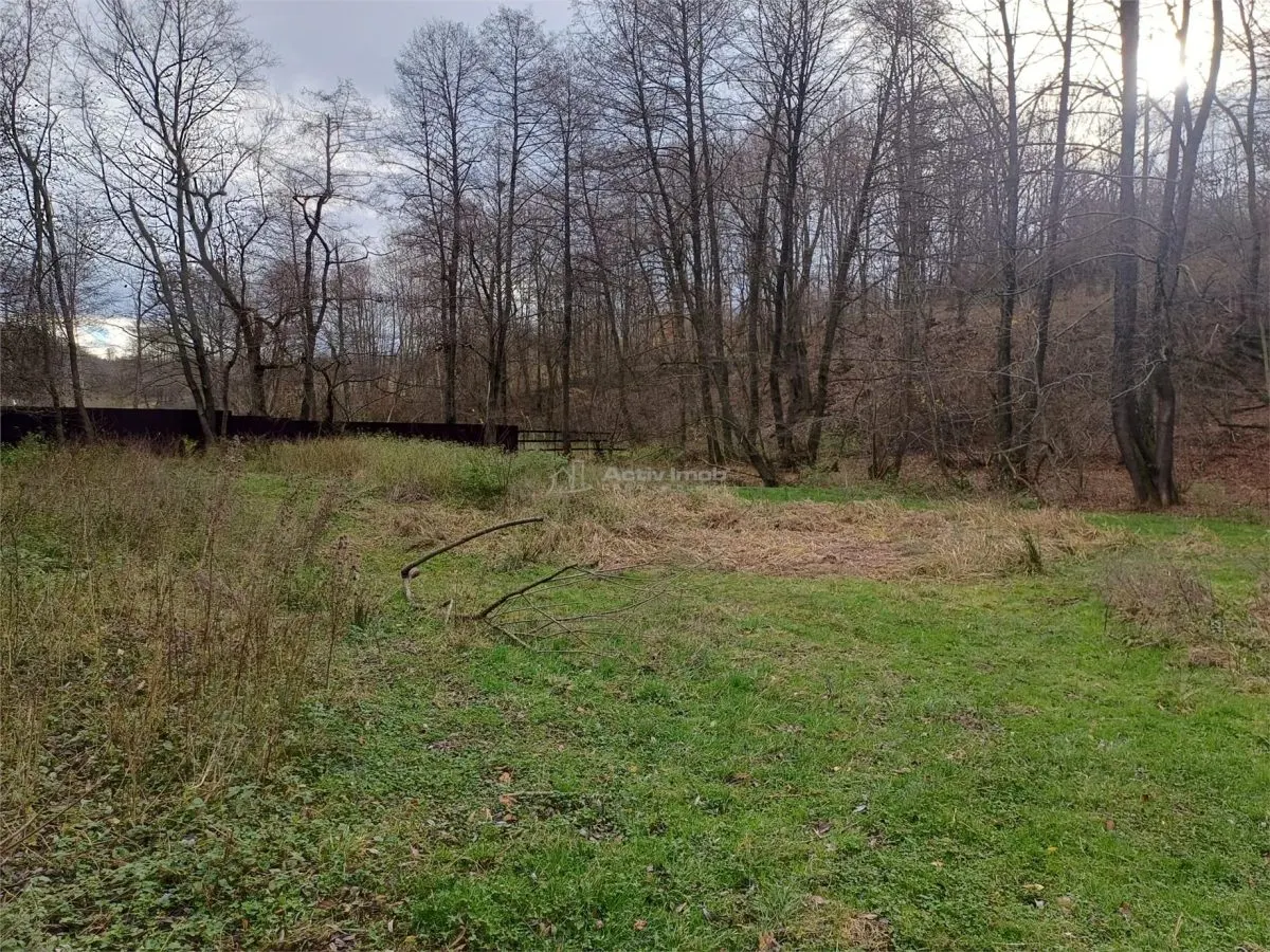 Resita, Teren Drept Intravilan, Langa Prau si Drum, 1308 Mp., 15 Euro/Mp., Renk - foto 6