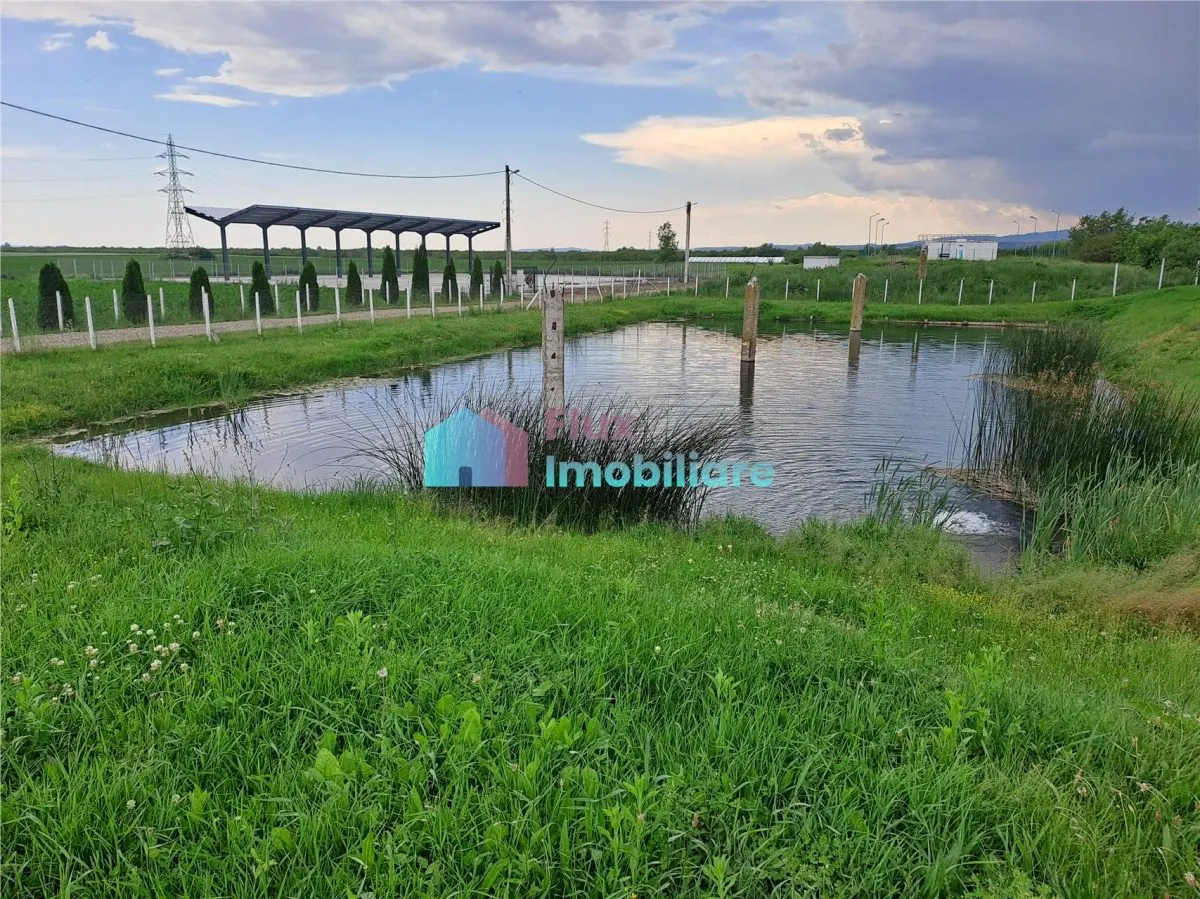 Casa cu teren si doua pastravarii in Fantana Mare - foto 18