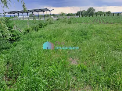 Casa cu teren si doua pastravarii in Fantana Mare - foto 10