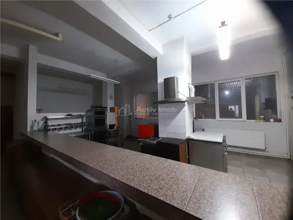 Hotel/Pensiune Reșița - poza 16