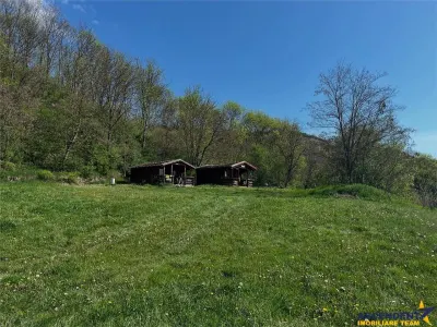 Transilvania Camping, domeniu de 14.400mp,Sanmarghita de Mures:2cladiri, apartamente,potential exceptional - foto 15