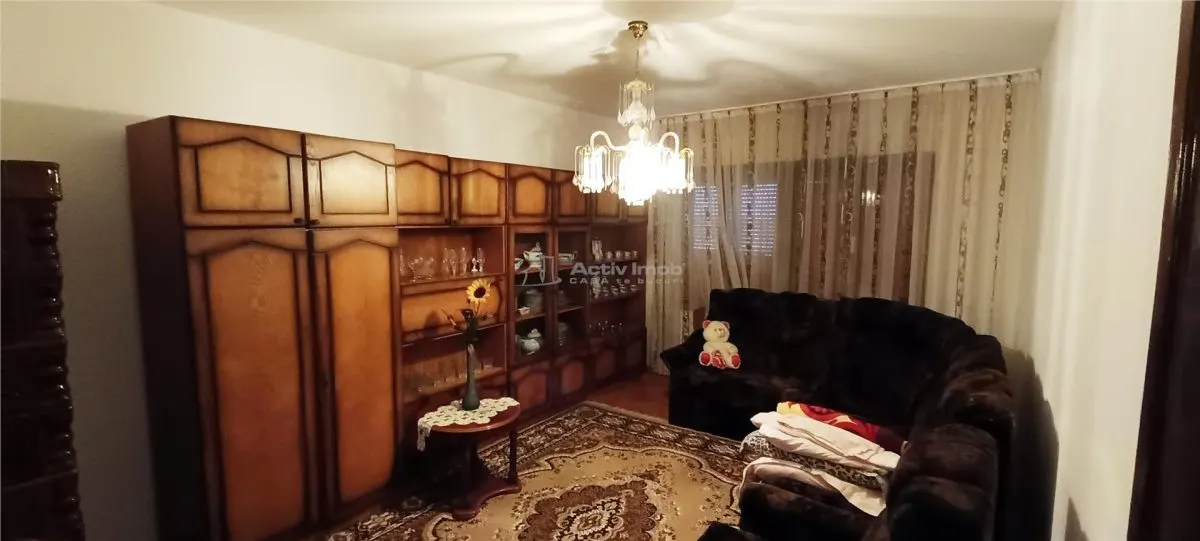 Casa individuala de vanzare in Berzasca, jud. Caras-Severin - foto 2