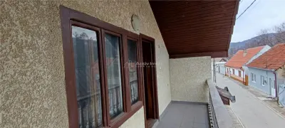 Casa individuala de vanzare in Berzasca, jud. Caras-Severin - foto 13