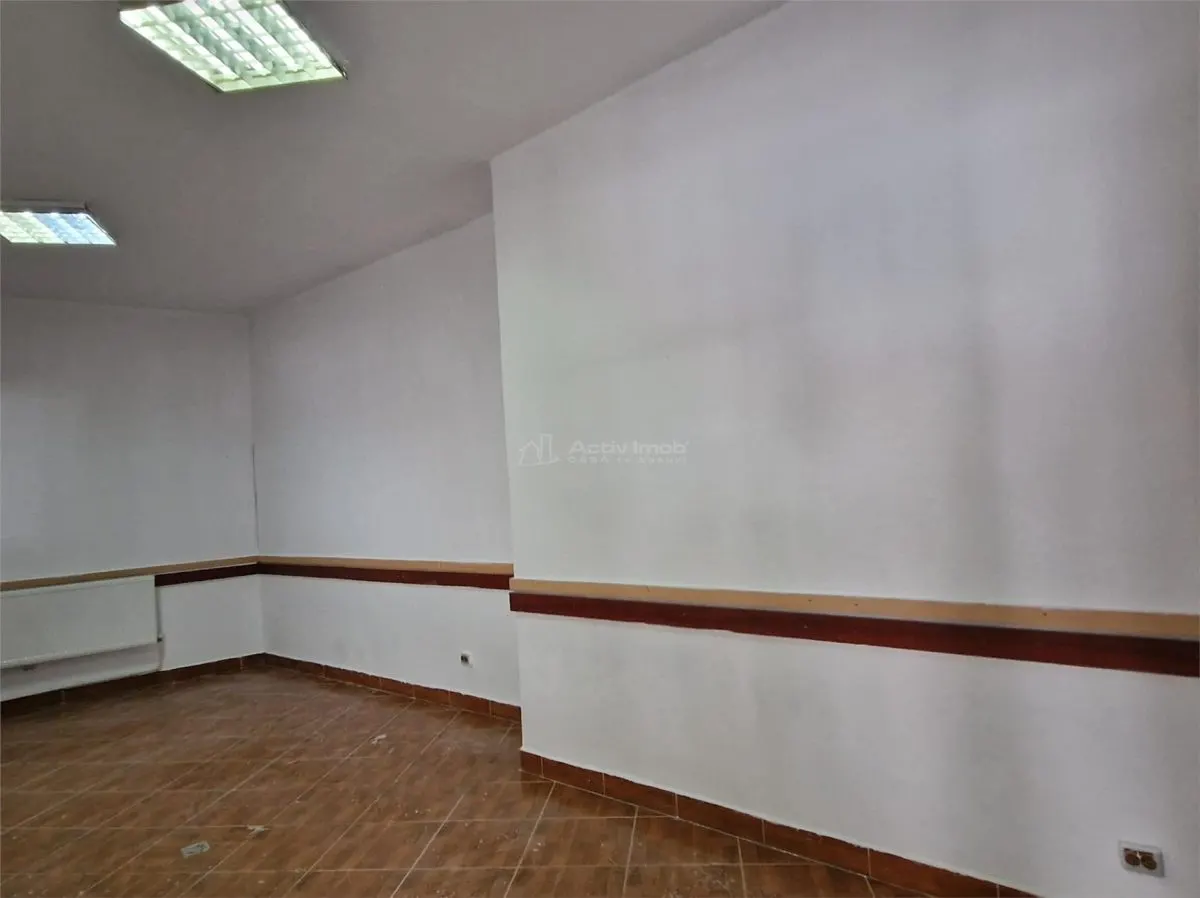 Resita Central Sp.Comercial 415 mp Comision ZERO Cumparator - foto 6