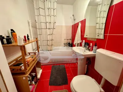 Apartament 1 camera PACURARI - foto 5