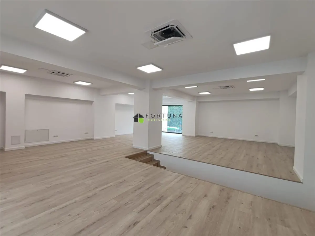 Spatiu comercial Centrul Civic - foto 3