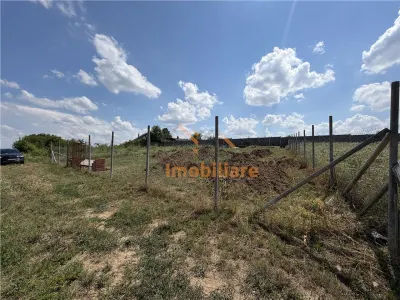 TEREN INTRAVILAN 586 MP | ZONA PALEU | BIHOR - foto 3