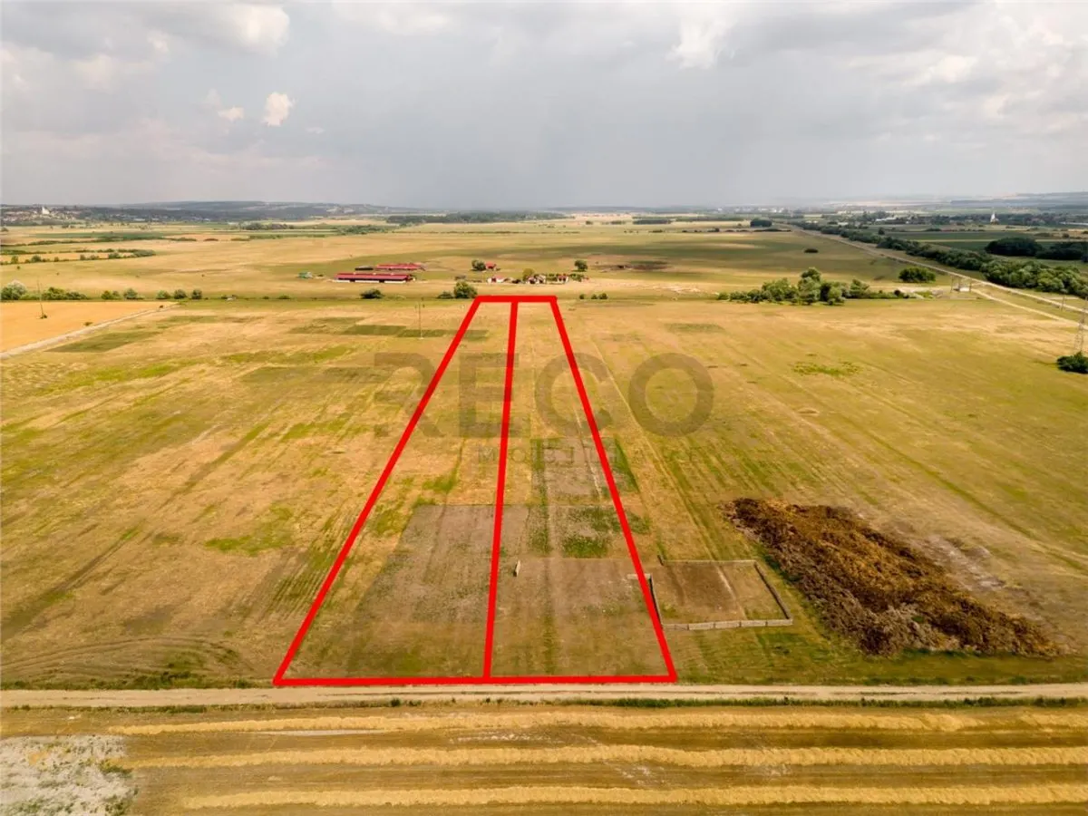 RECO teren extravilan ideal pentru balastiera in Rosiori - foto 2