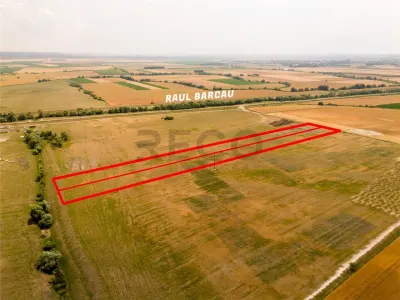 RECO teren extravilan ideal pentru balastiera in Rosiori - foto 12