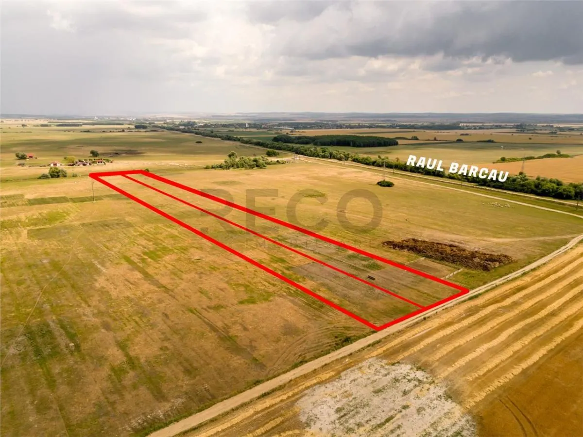 RECO teren extravilan ideal pentru balastiera in Rosiori - foto 6