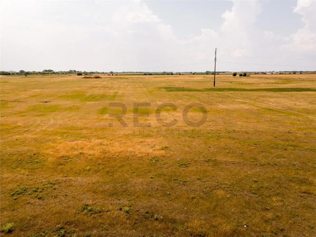 RECO teren extravilan ideal pentru balastiera in Rosiori - foto 7