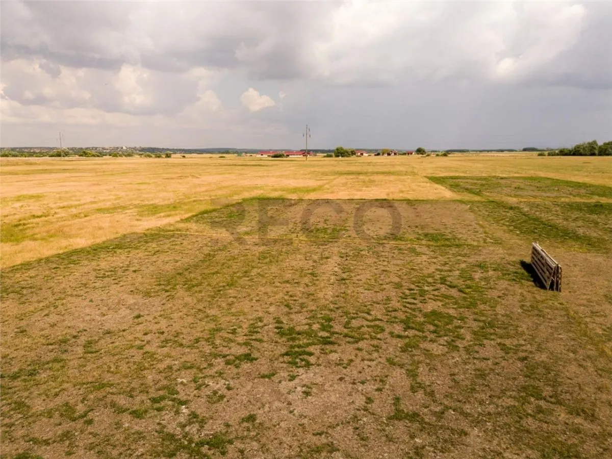 RECO teren extravilan ideal pentru balastiera in Rosiori - foto 8