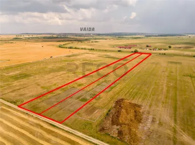 RECO teren extravilan ideal pentru balastiera in Rosiori - foto 10