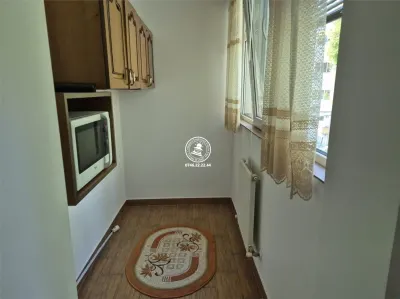 Apartament 3 camere de inchiriat zona Pacurari - Pizza Smile - foto 12