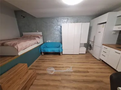 Apartament 1 Copou- Negruzzi- 450 euro - foto 3
