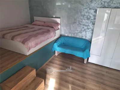 Apartament 1 Copou- Negruzzi- 450 euro - foto 4